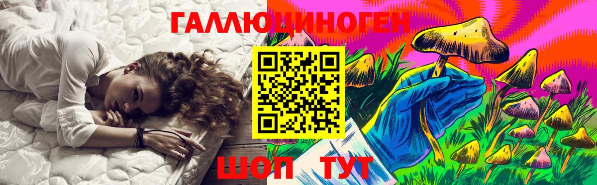 Камень-на-Оби  Галлюциногенные грибы Psilocybe  Вход с VPN 